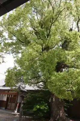 津島神社(奈良県)