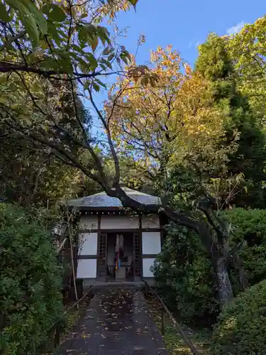 高円寺(東京都)