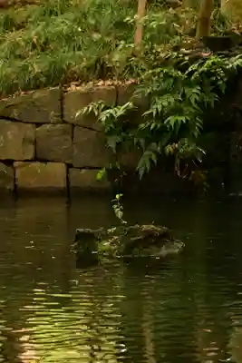武蔵一宮氷川神社(埼玉県)