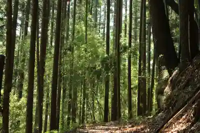国宝 大法寺の周辺