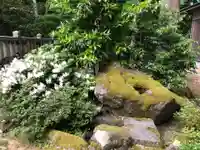 山神社の手水舎