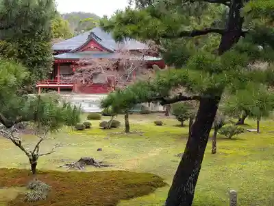大覚寺(京都府)