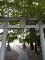 千代鶴神社(福井県)