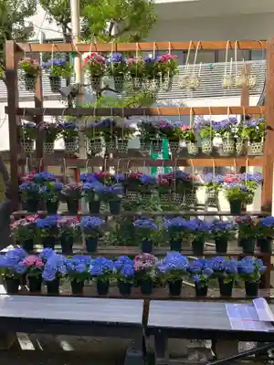 吉原神社(東京都)