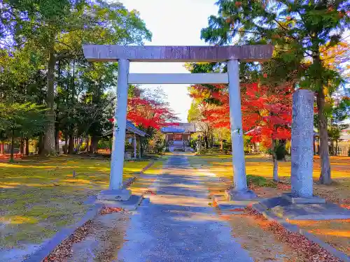 神明社（上祖父江）の鳥居