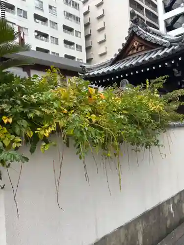 専念寺(大阪府)