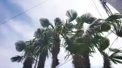 尾張大國霊神社（国府宮）の景色