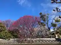 薬師院(神奈川県)