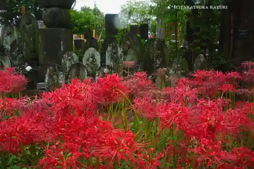 宝蔵院(東京都)