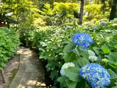 雲昌寺の{uncategorized: "未分類", other: "その他", undefined: "問題あり", building: "その他建物", grave: "お墓", sacred_gate: "鳥居", guardian: "狛犬", statue: "像", buddha: "仏像", history: "歴史", nature: "自然", garden: "庭園", animal: "動物", pagoda: "塔", temizu: "手水舎", mountain_gate: "山門・神門", sanctuary: "本殿・本堂", subordinate: "末社・摂社", art: "芸術", scenery: "景色", jizo: "地蔵", ema: "絵馬", goshuin: "御朱印", omikuji: "おみくじ", items: "授与品その他", amulet: "お守り", goshuincho: "御朱印帳", eats: "食事", festival: "お祭り", votive_dance: "神楽", shichigosan: "七五三参", wedding: "結婚式", experience: "体験その他", initially: "初詣", around: "周辺", anti_infection: "感染症対策"}