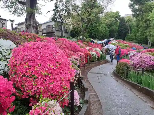 根津神社の庭園