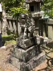 春日神社の狛犬