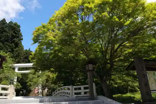 土津神社｜こどもと出世の神さまの鳥居