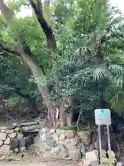 安居神社の自然