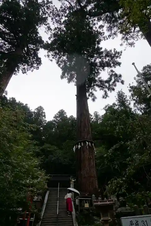 由岐神社の自然