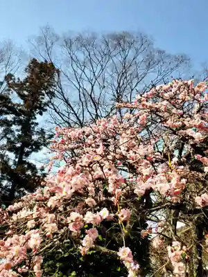 上合寺(福島県)