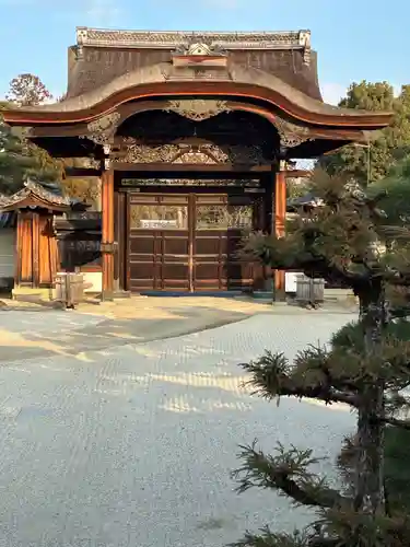 仁和寺(京都府)