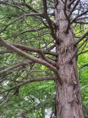 厚別神社(北海道)