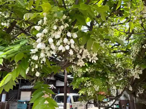 中道八阪神社(大阪府)