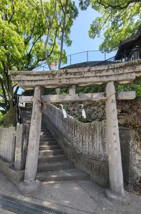 總鎮守八幡神社(愛媛県)
