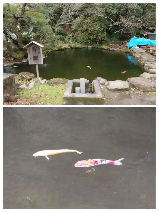 火男火賣神社(下宮)(大分県)