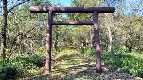 大國神社の鳥居