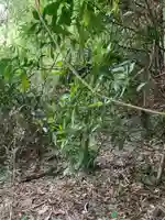 妙見神社(千葉県)