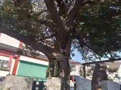 多摩川諏訪神社(東京都)