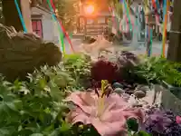 滑川神社 - 仕事と子どもの守り神の手水舎