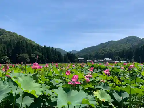 鵜甘神社(福井県)