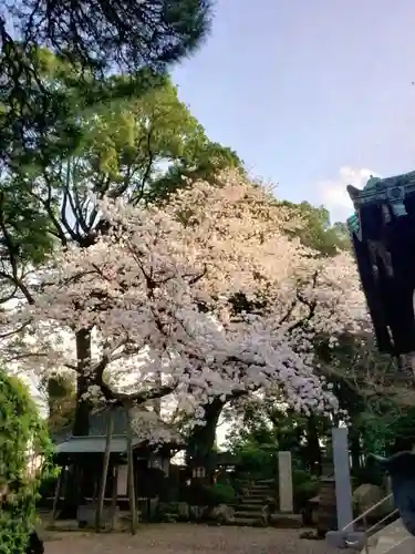 龍光寺(東京都)
