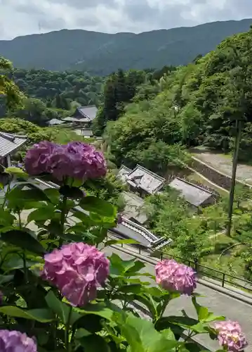 長谷寺(奈良県)