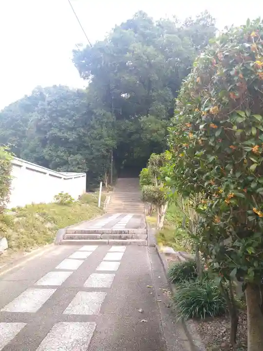 阿智神社の自然