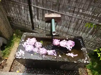 駒込妙義神社(東京都)