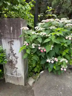 銭洗弁財天宇賀福神社(神奈川県)