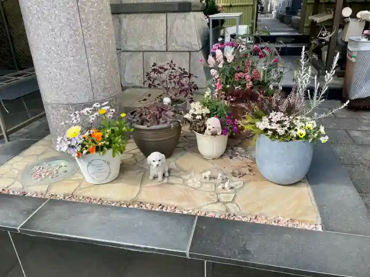 東福院の{uncategorized: "未分類", other: "その他", undefined: "問題あり", building: "その他建物", grave: "お墓", sacred_gate: "鳥居", guardian: "狛犬", statue: "像", buddha: "仏像", history: "歴史", nature: "自然", garden: "庭園", animal: "動物", pagoda: "塔", temizu: "手水舎", mountain_gate: "山門・神門", sanctuary: "本殿・本堂", subordinate: "末社・摂社", art: "芸術", scenery: "景色", jizo: "地蔵", ema: "絵馬", goshuin: "御朱印", omikuji: "おみくじ", items: "授与品その他", amulet: "お守り", goshuincho: "御朱印帳", eats: "食事", festival: "お祭り", votive_dance: "神楽", shichigosan: "七五三参", wedding: "結婚式", experience: "体験その他", initially: "初詣", around: "周辺", anti_infection: "感染症対策"}