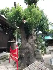 三輪神社の自然