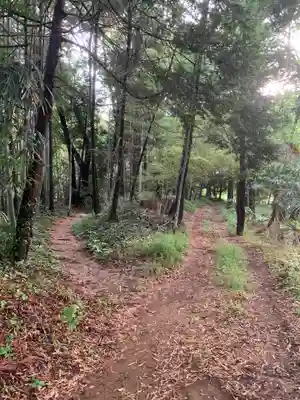 蔵王神社(千葉県)