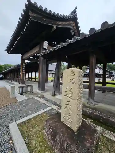 東福禅寺（東福寺）(京都府)