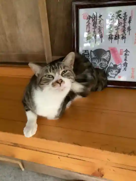 玉野御嶽神社の動物