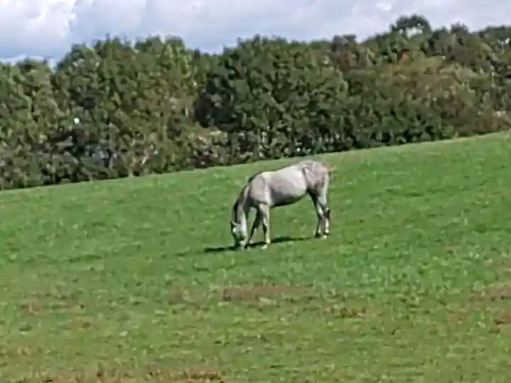 浦河神社(北海道)