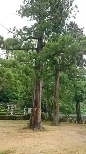 高雄神社の自然