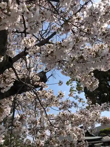 豊国神社の自然