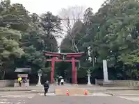 彌彦神社(新潟県)
