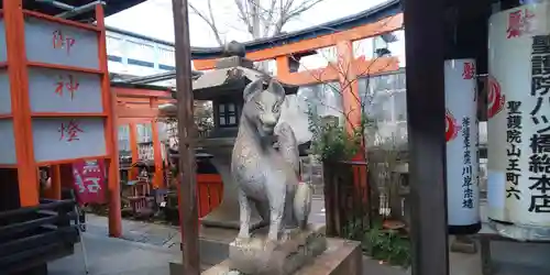 御辰稲荷神社の狛犬