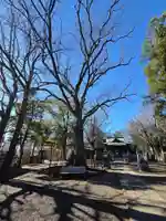 小杉神社(神奈川県)