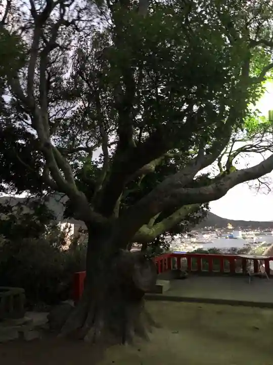 織幡神社の自然