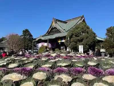 成田山新勝寺(千葉県)