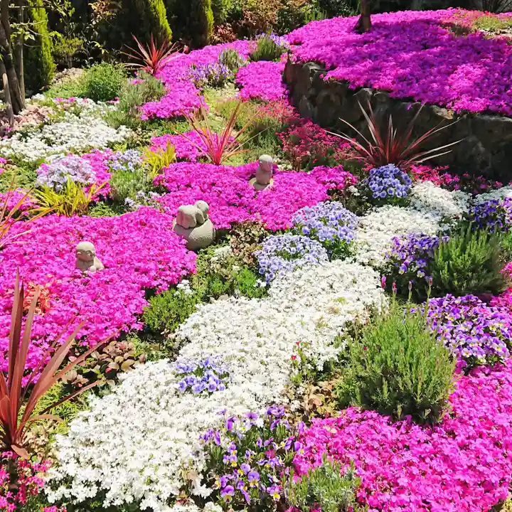 寿量山 速成寺の庭園