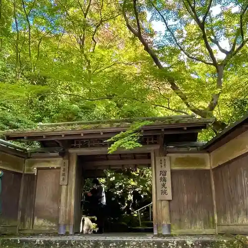 光明寺瑠璃光院(京都府)